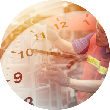 Customized Model Development