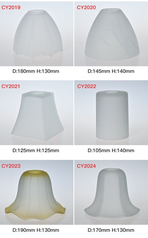 Lamp Cover CY2019-2024
