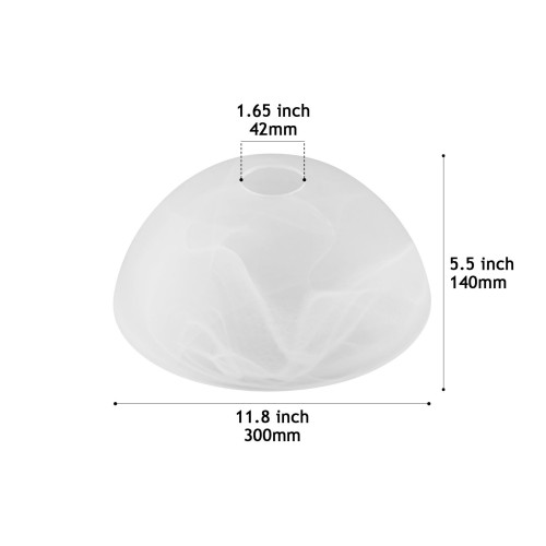 CY5500-300 Lamp Cover