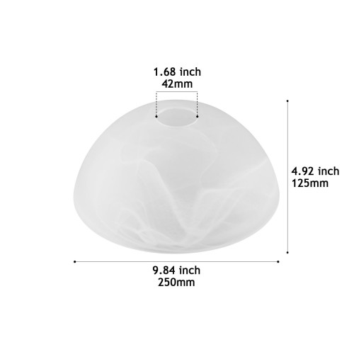 CY5500-250 Lamp Cover