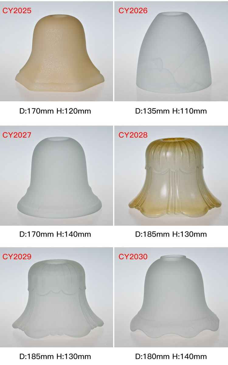 CY2025-2030 Lamp Cover