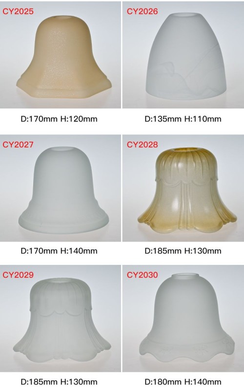 CY2025-2030 Lamp Cover